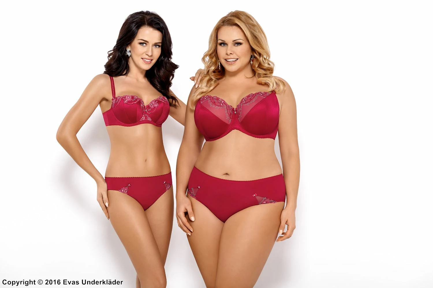 Elegant Balconette, Lace Embroidery 4 Elegant Balconette, Lace Embroidery - Image 4