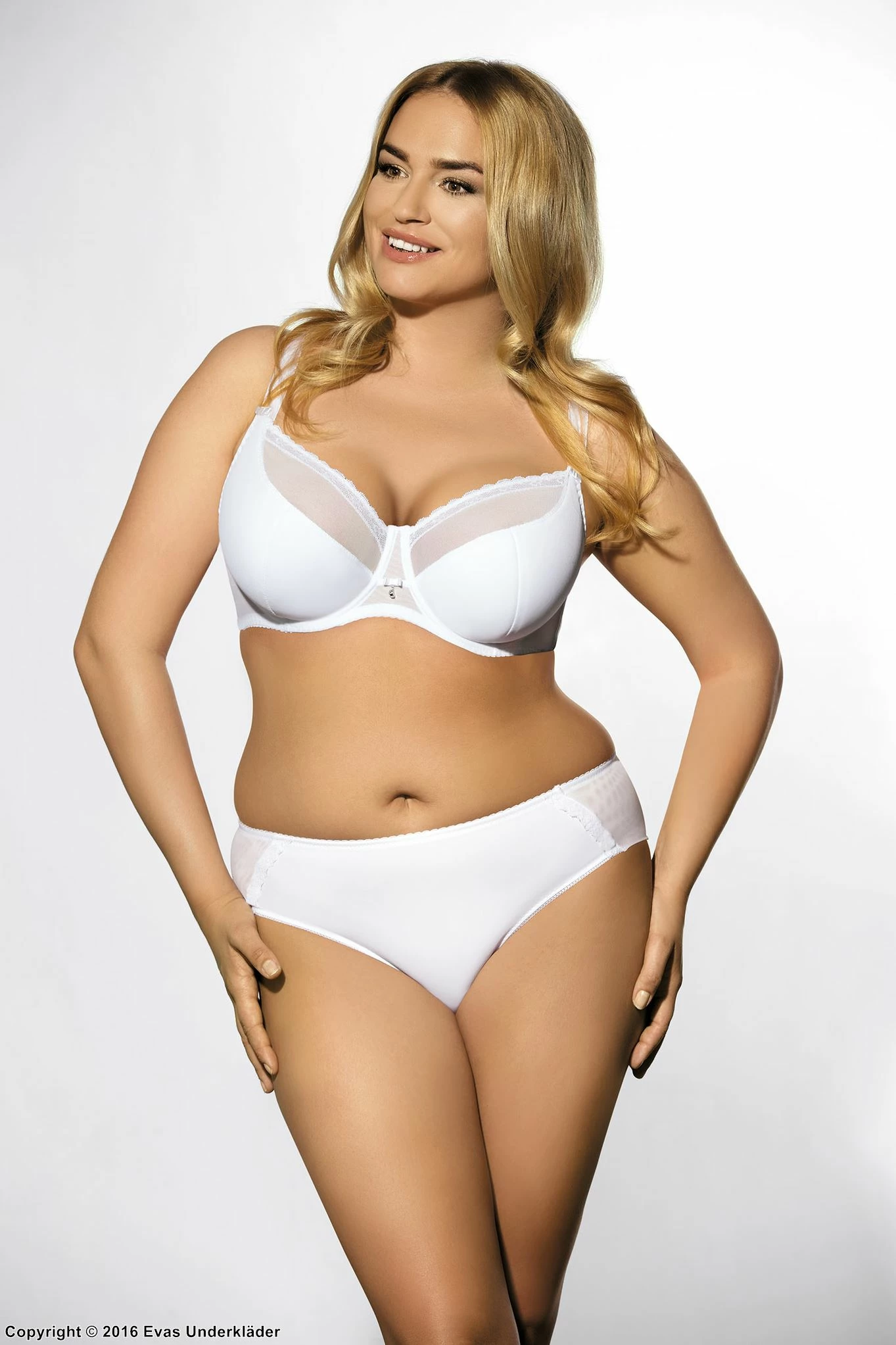 Stylish Bra, Sheer Trim 8 Stylish Bra, Sheer Trim - Image 8