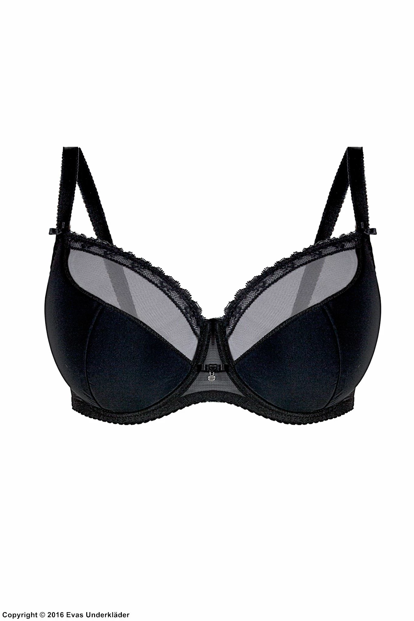 Stylish Bra, Sheer Trim 9 Stylish Bra, Sheer Trim - Image 9