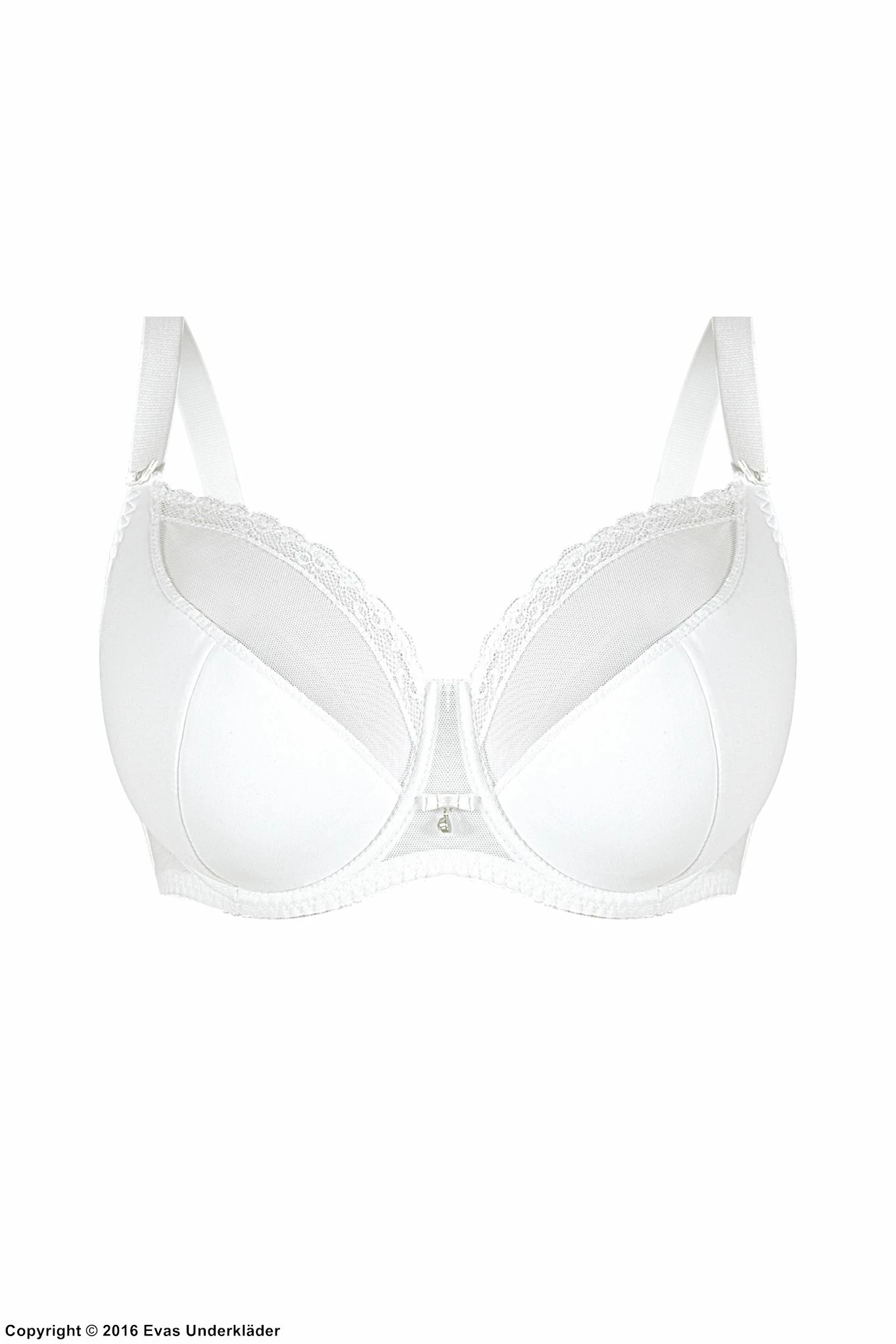 Stylish Bra, Sheer Trim 11 Stylish Bra, Sheer Trim - Image 11