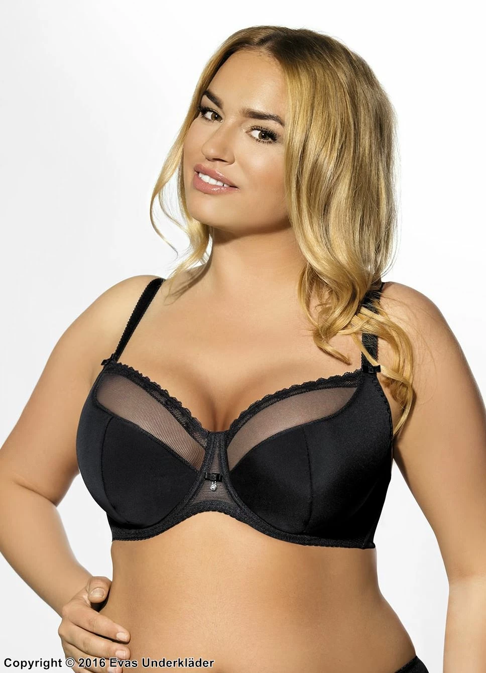 Stylish Bra, Sheer Trim 13 Stylish Bra, Sheer Trim - Image 13