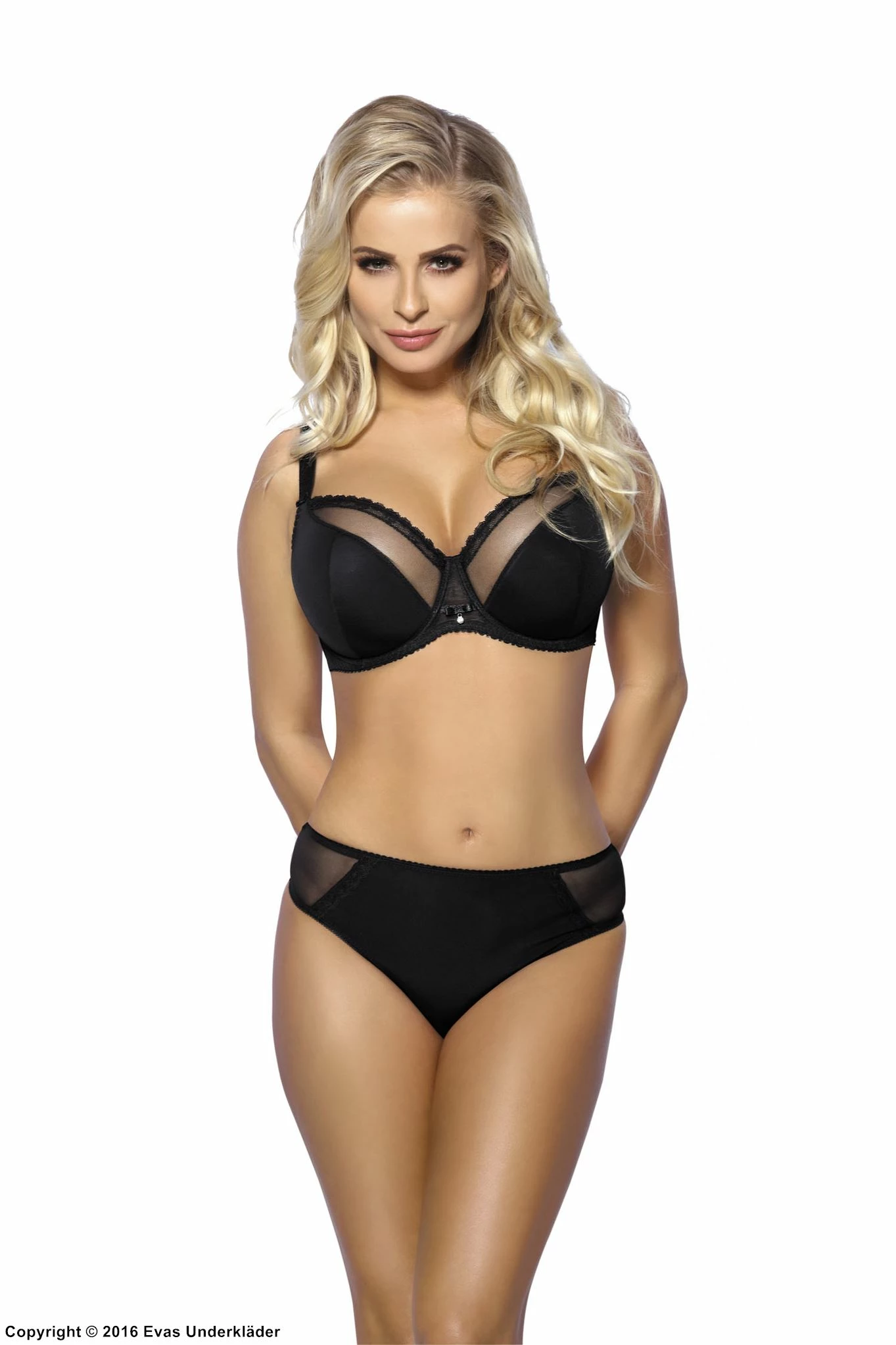 Stylish Bra, Sheer Trim 14 Stylish Bra, Sheer Trim - Image 14