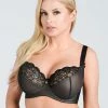 Big Cup Bra, Lace Inlays, Mesh Overlay, B To S-cup