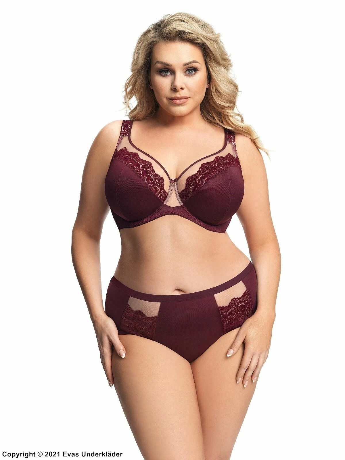 Comfortable Full Cup Bra, Sheer Lace, Mesh Inlay, D To M-cup 3 Comfortable Full Cup Bra, Sheer Lace, Mesh Inlay, D To M-cup - Image 3