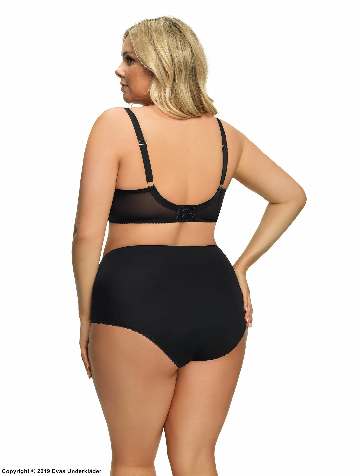 Exclusive Bra, Sheer Mesh, Eyelash Lace, D To K-cup 3 Exclusive Bra, Sheer Mesh, Eyelash Lace, D To K-cup - Image 3