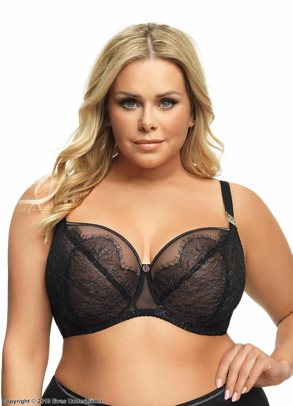 Exclusive Bra, Sheer Mesh, Eyelash Lace, D To K-cup 1 Exclusive Bra, Sheer Mesh, Eyelash Lace, D To K-cup