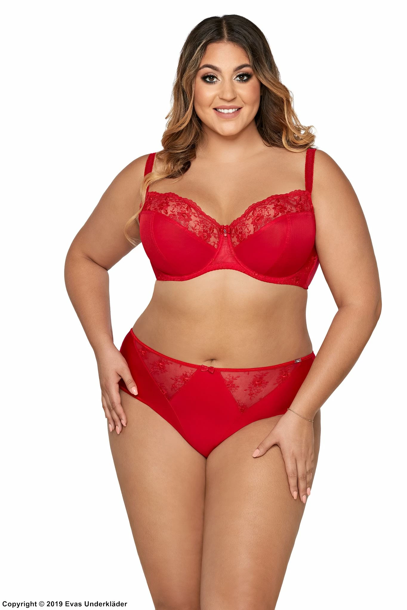 Seductive Bra, Lace Embroidery, B To L-cup 2 Seductive Bra, Lace Embroidery, B To L-cup - Image 2