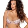 Romantic Big Cup Bra, Beautiful Lace, Sheer Inlays, B To L-cup