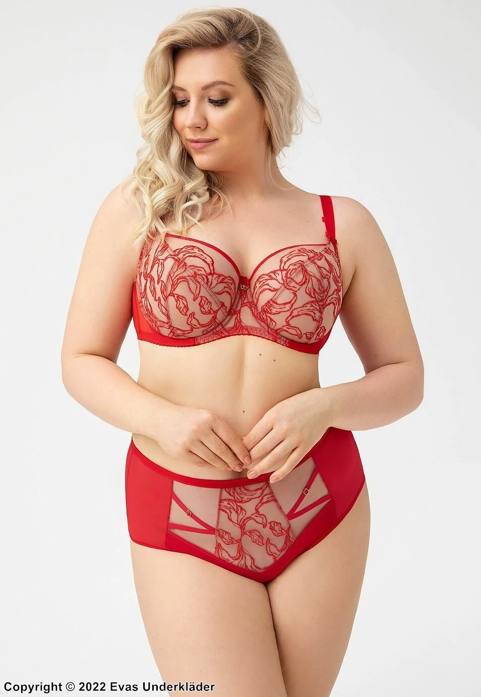 Romantic Big Cup Bra, Tulle, Lace Embroidery, D To L-cup 2 Romantic Big Cup Bra, Tulle, Lace Embroidery, D To L-cup - Image 2