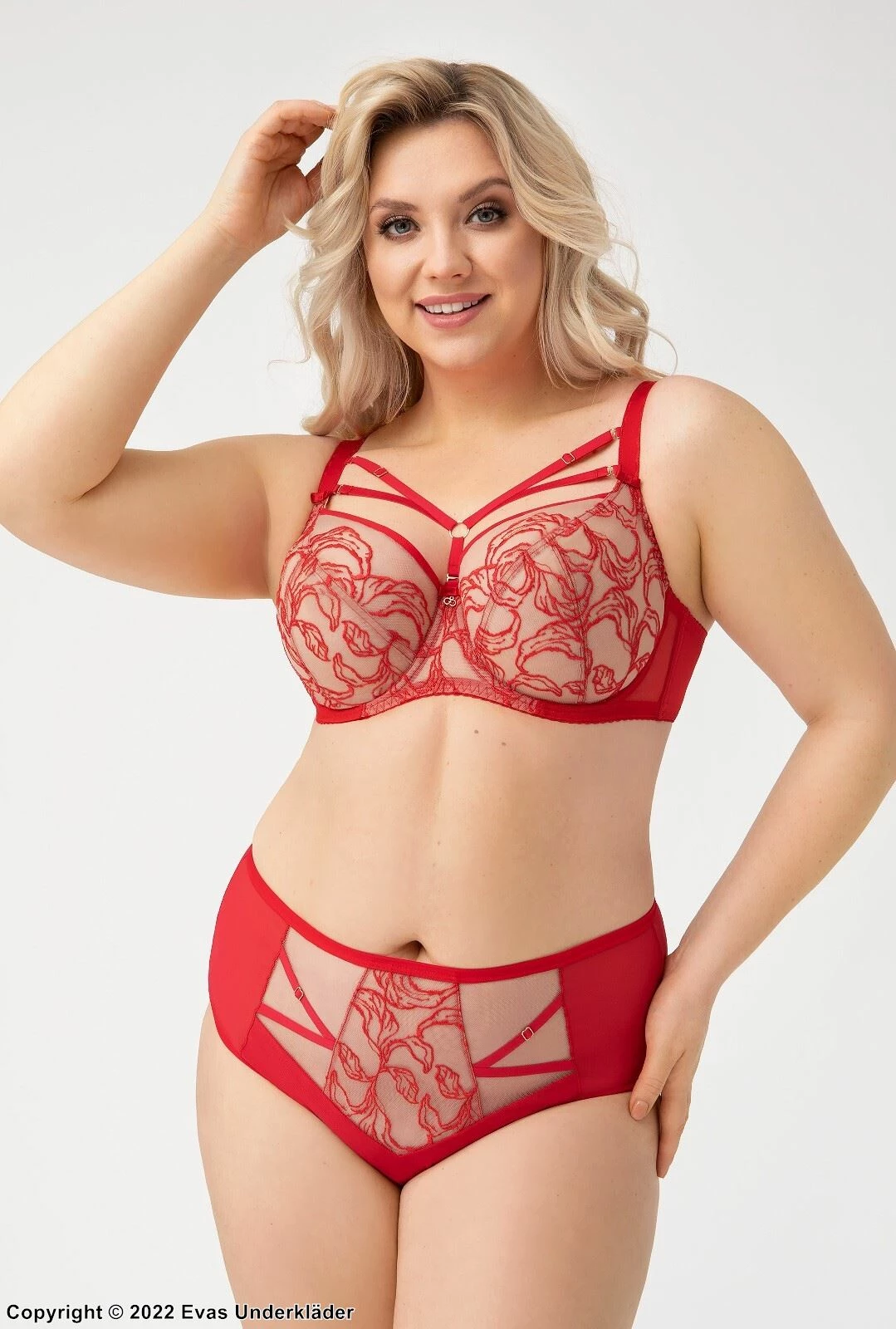 Romantic Big Cup Bra, Tulle, Lace Embroidery, D To L-cup 3 Romantic Big Cup Bra, Tulle, Lace Embroidery, D To L-cup - Image 3