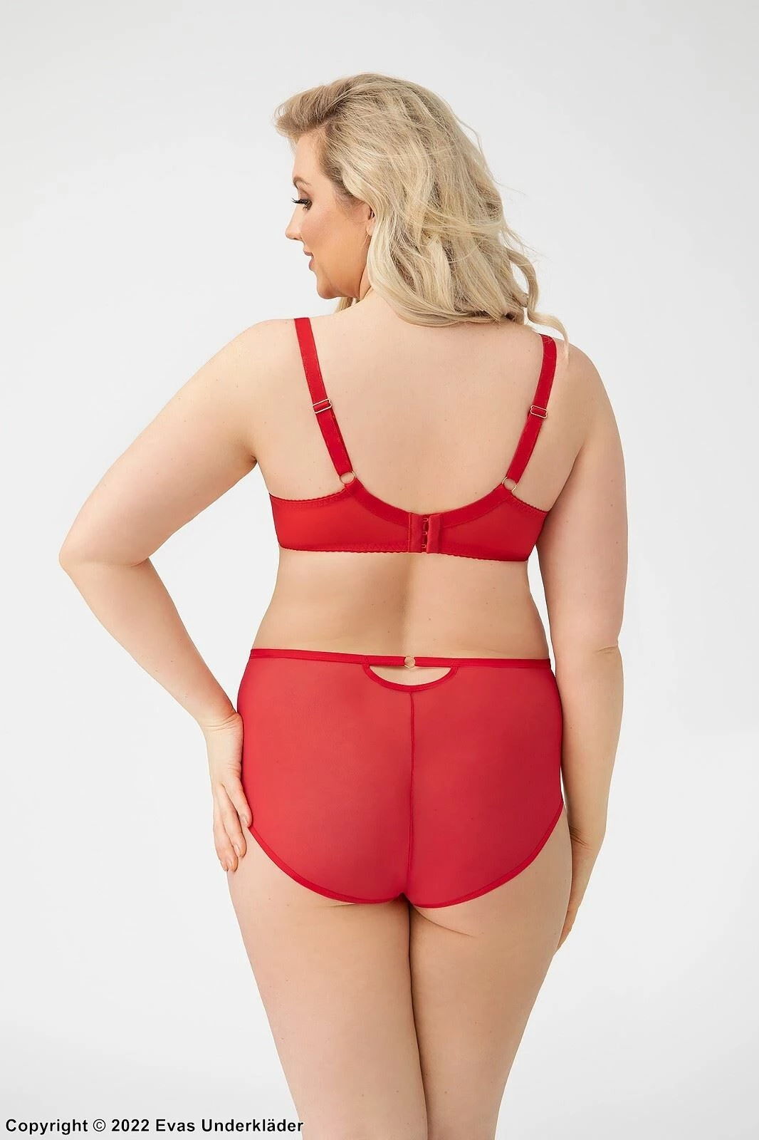 Romantic Big Cup Bra, Tulle, Lace Embroidery, D To L-cup 4 Romantic Big Cup Bra, Tulle, Lace Embroidery, D To L-cup - Image 4