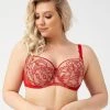 Romantic Big Cup Bra, Tulle, Lace Embroidery, D To L-cup