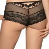 Romantic Hipster Panties, Sheer Mesh, Floral Lace