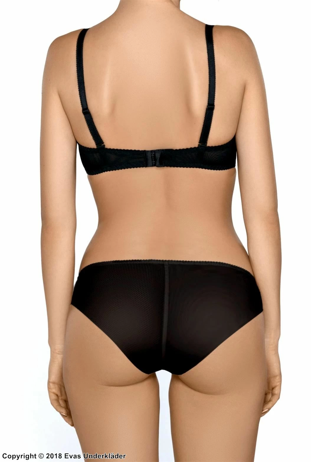 Panties, Microfiber, Embroidery, Mesh Inlay 5 Panties, Microfiber, Embroidery, Mesh Inlay - Image 5