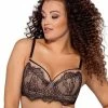 Exclusive Push-up Bra, Eyelash Lace