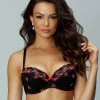 Push-up Bra, Embroidery, Lace Edge