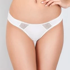 Panties, Net Inlay