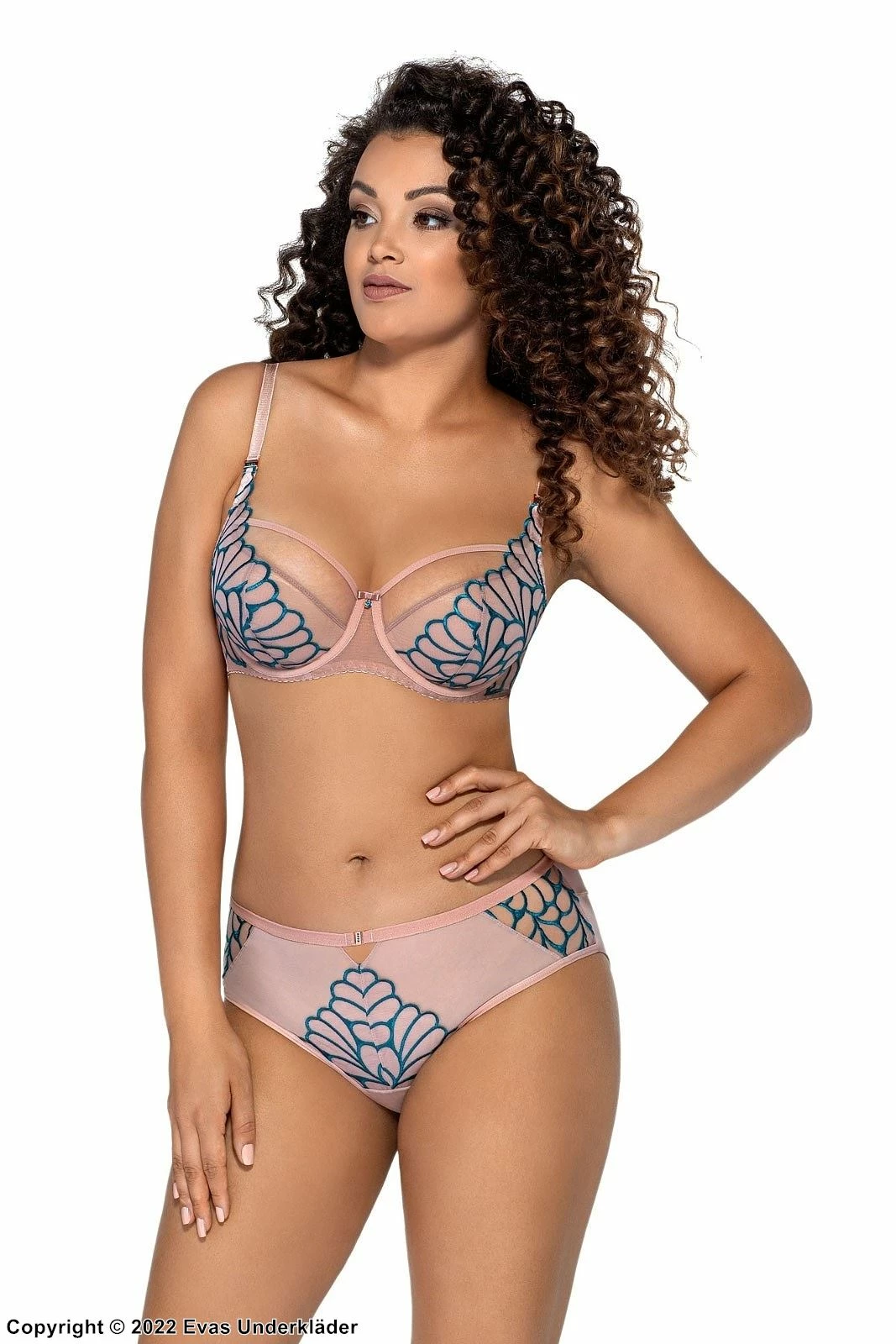 Romantic Panties, Embroidery, Sheer Inlays 2 Romantic Panties, Embroidery, Sheer Inlays - Image 2