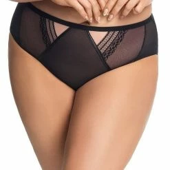Romantic Panties, Sheer Mesh, Lace Inlays