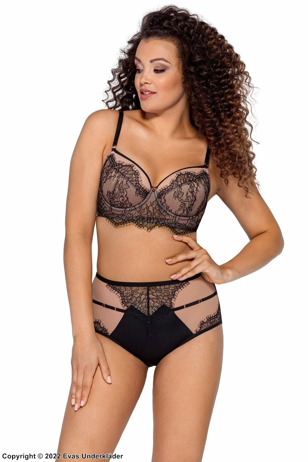 Romantic High Waist Panties, Sheer Mesh, Eyelash Lace, Straps 3 Romantic High Waist Panties, Sheer Mesh, Eyelash Lace, Straps - Image 3