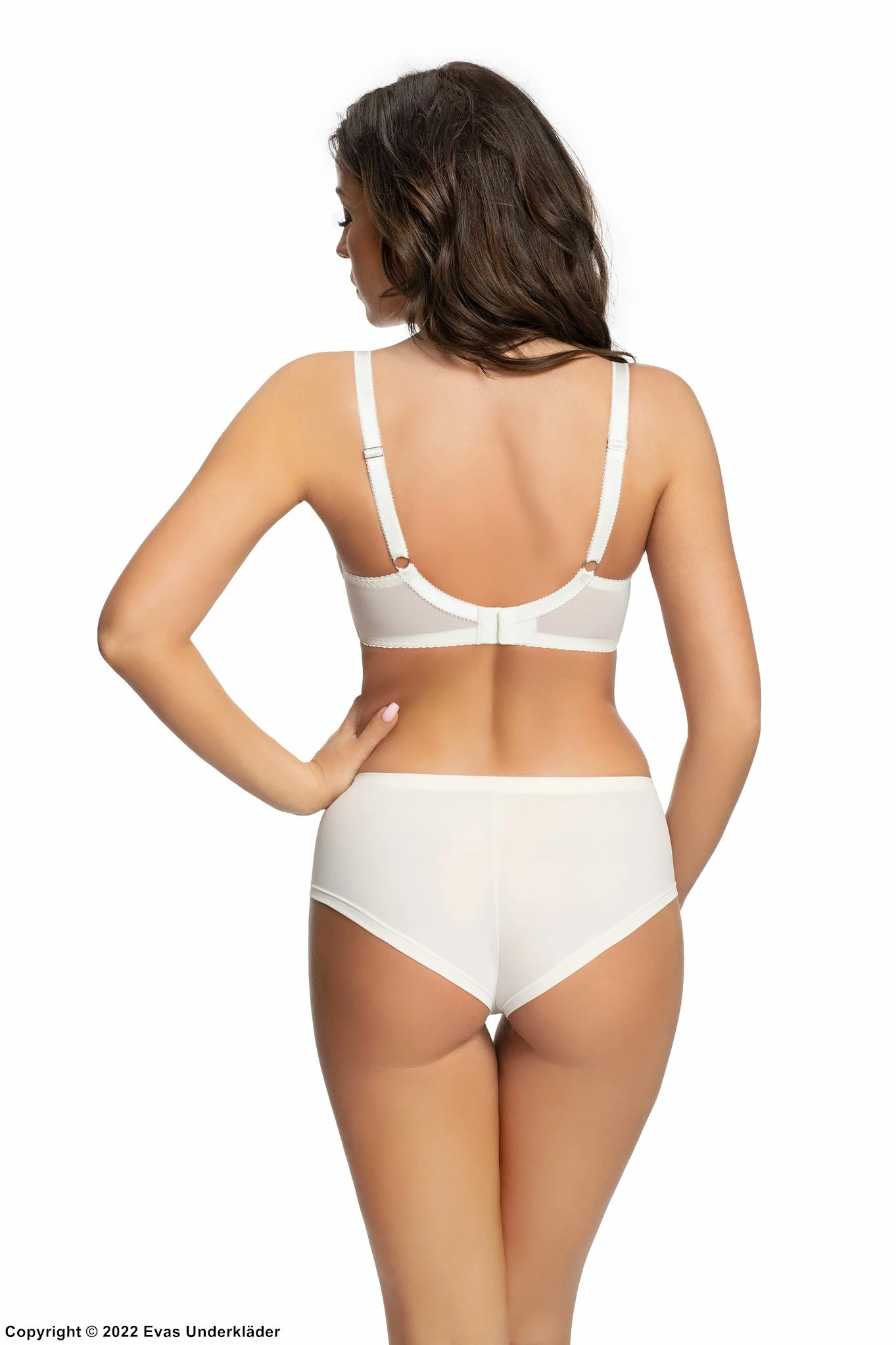 Romantic Cheeky Panties, Sheer Inlays, Eyelash Lace, Plain Back 4 Romantic Cheeky Panties, Sheer Inlays, Eyelash Lace, Plain Back - Image 4