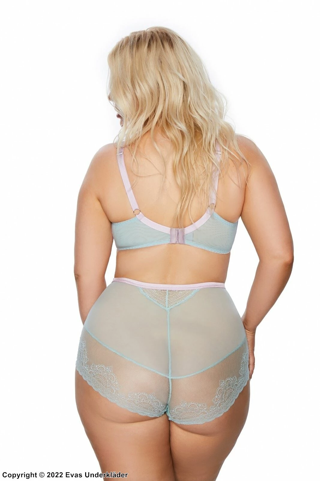 High Waist Panties, Tulle, Lace Inlays 2 High Waist Panties, Tulle, Lace Inlays - Image 2