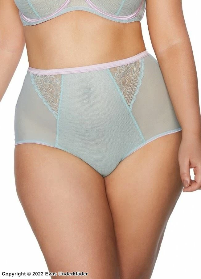High Waist Panties, Tulle, Lace Inlays 1 High Waist Panties, Tulle, Lace Inlays