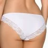 Romantic Panties, Sheer Inlays, Floral Lace