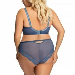 Romantic Panties, Sheer Mesh, Lace Trim -EVA’s  INTIMATES Shop briefs tanga panty 196 go k705 elaine 5B25D 5Bfullsize5D