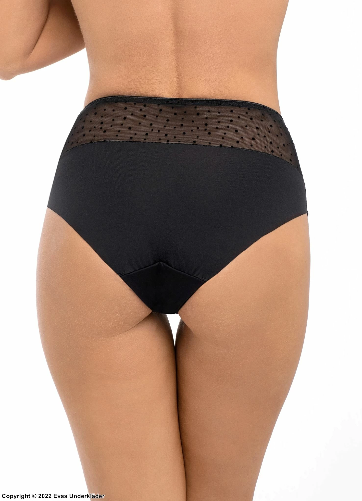 Beautiful Panties, Sheer Mesh And Lace, Small Dots, Flowers 2 Beautiful Panties, Sheer Mesh And Lace, Small Dots, Flowers - Image 2