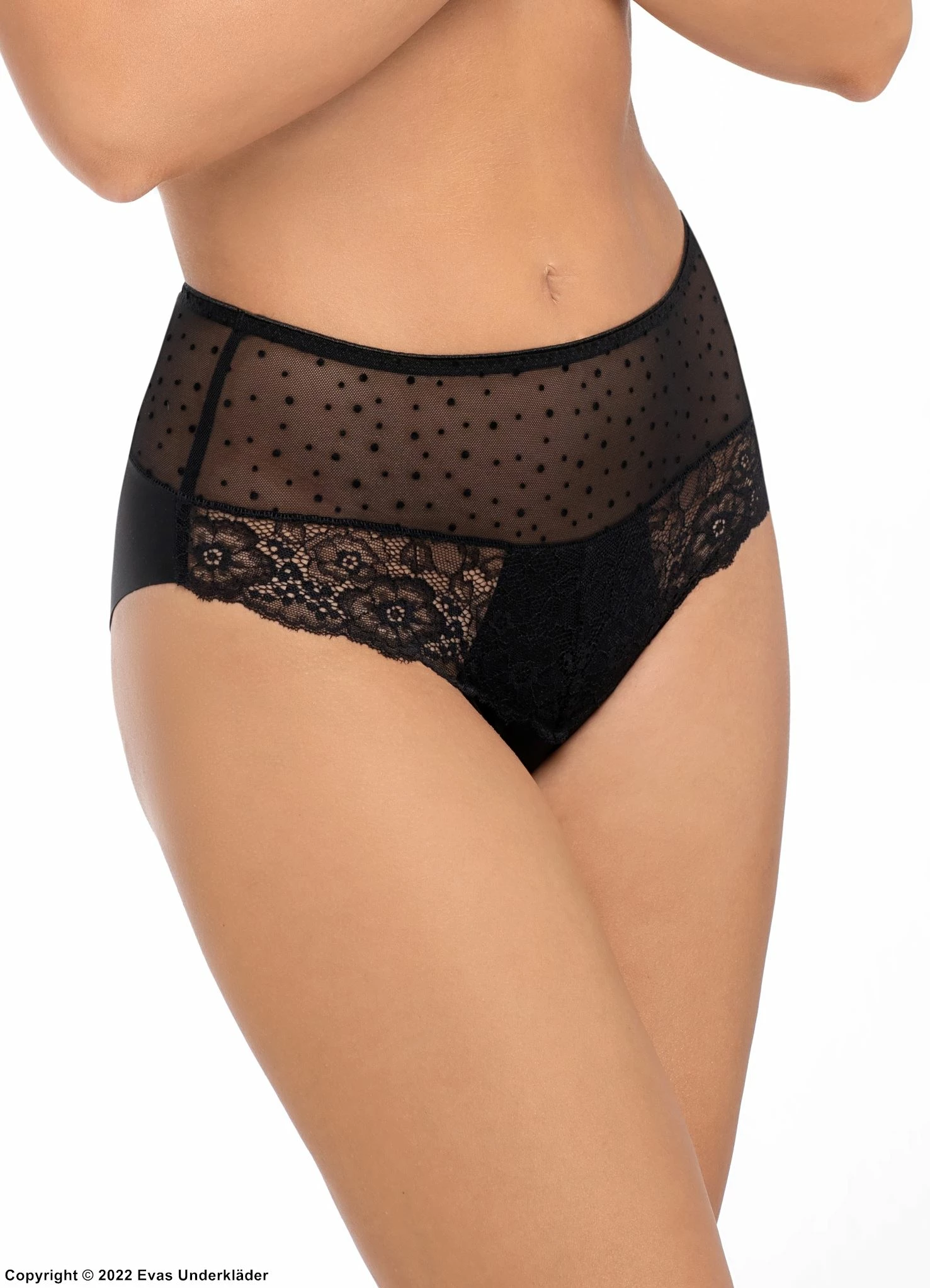 Beautiful Panties, Sheer Mesh And Lace, Small Dots, Flowers 1 Beautiful Panties, Sheer Mesh And Lace, Small Dots, Flowers