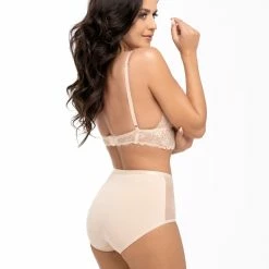 High Waist Panties, High Quality Cotton, Sheer Inlays, Floral Lace, Plain Back -EVA’s  INTIMATES Shop briefs tanga panty 208 bl 152 5B45D 5Bfullsize5D