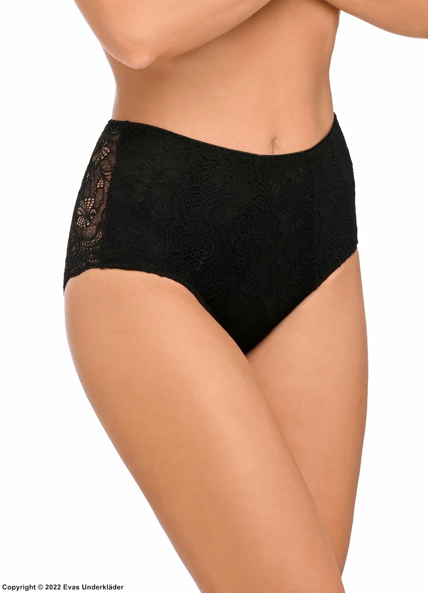 High Waist Panties, Soft Lace, Sheer Back, Subtle Floral Pattern 6 High Waist Panties, Soft Lace, Sheer Back, Subtle Floral Pattern - Image 6