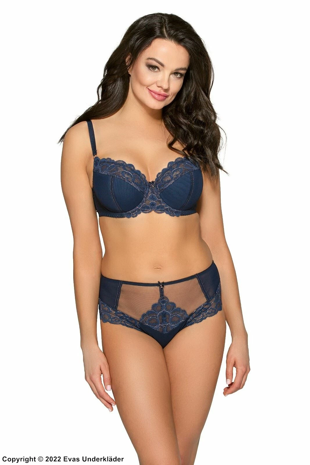 Romantic Panties, Lace, Sheer Inlays 2 Romantic Panties, Lace, Sheer Inlays - Image 2