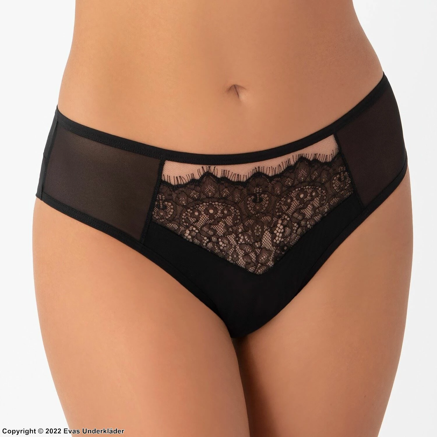 Romantic Panties, Sheer Mesh, Eyelash Lace, Slightly Higher Waist 2 Romantic Panties, Sheer Mesh, Eyelash Lace, Slightly Higher Waist - Image 2
