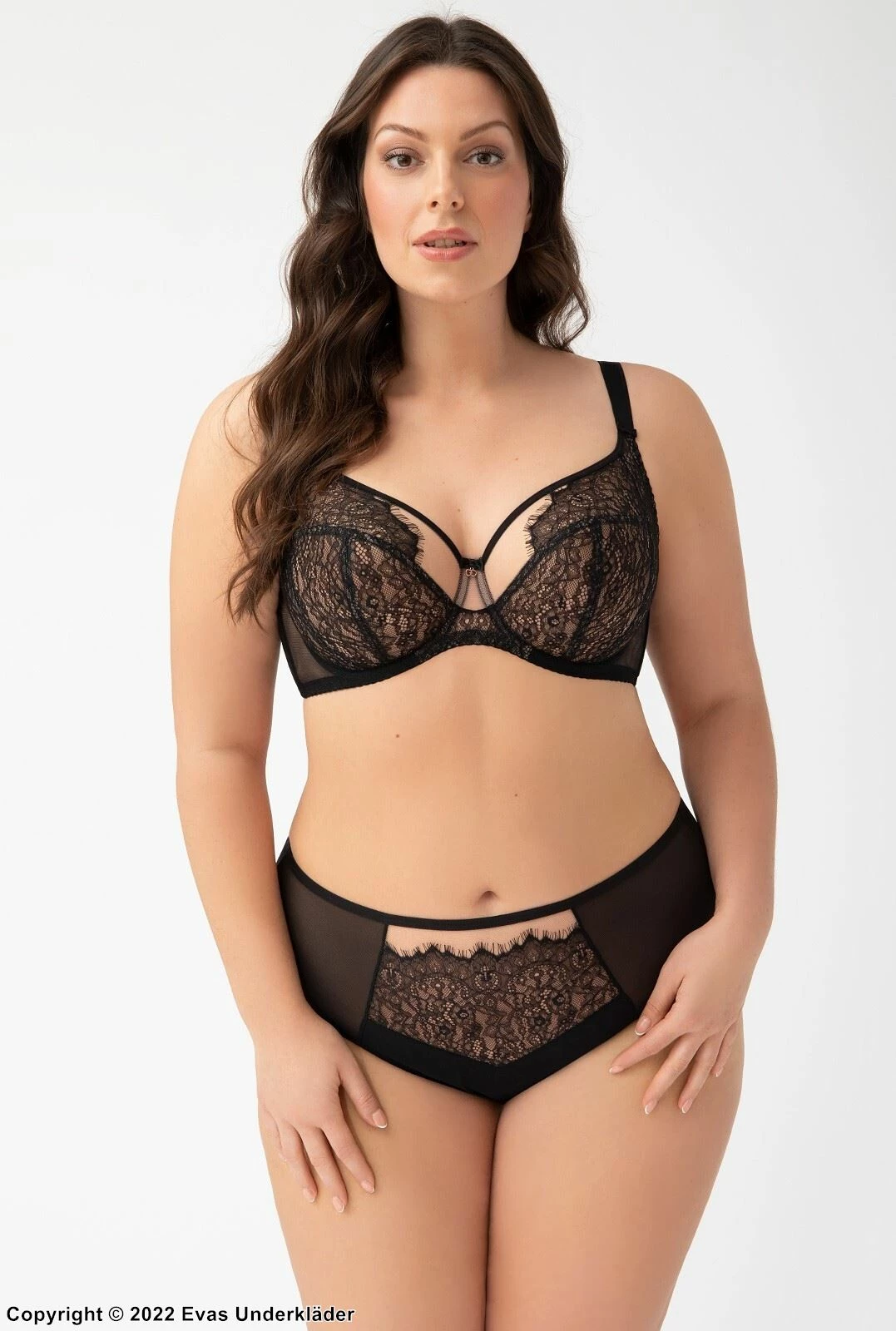 Romantic Panties, Sheer Mesh, Eyelash Lace, Slightly Higher Waist 3 Romantic Panties, Sheer Mesh, Eyelash Lace, Slightly Higher Waist - Image 3