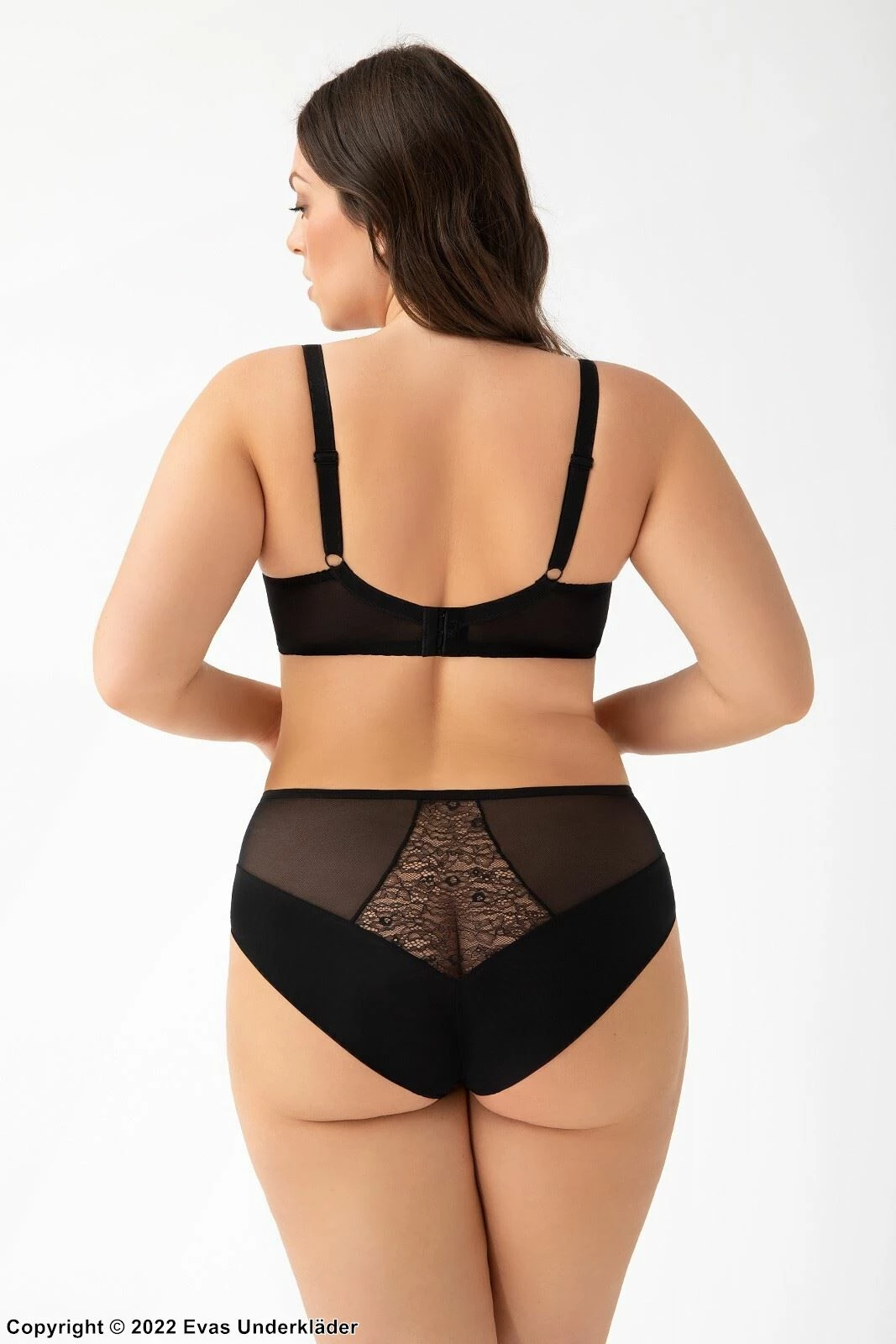 Romantic Panties, Sheer Mesh, Eyelash Lace, Slightly Higher Waist 4 Romantic Panties, Sheer Mesh, Eyelash Lace, Slightly Higher Waist - Image 4