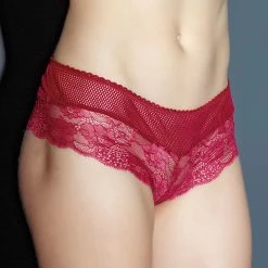 Romantic Cheeky Panties, Lacing, Wide Lace Edge, Net Inlay -EVA’s  INTIMATES Shop briefs tanga panty 45 ce 3864 5B55D 5Bfullsize5D