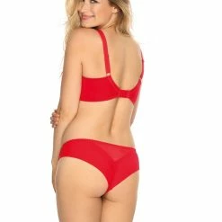 Classic Briefs, Sheer Mesh, Embroidery, Light Pattern -EVA’s  INTIMATES Shop briefs tanga panty 56 gi 928 trosa 5B25D 5Bfullsize5D