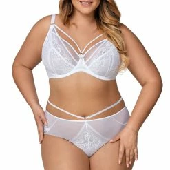 Elegant Panties, Floral Lace, Mesh Inlay, Flowers -EVA’s  INTIMATES Shop briefs tanga panty 60 av 1824 trosa 5B115D 5Bfullsize5D