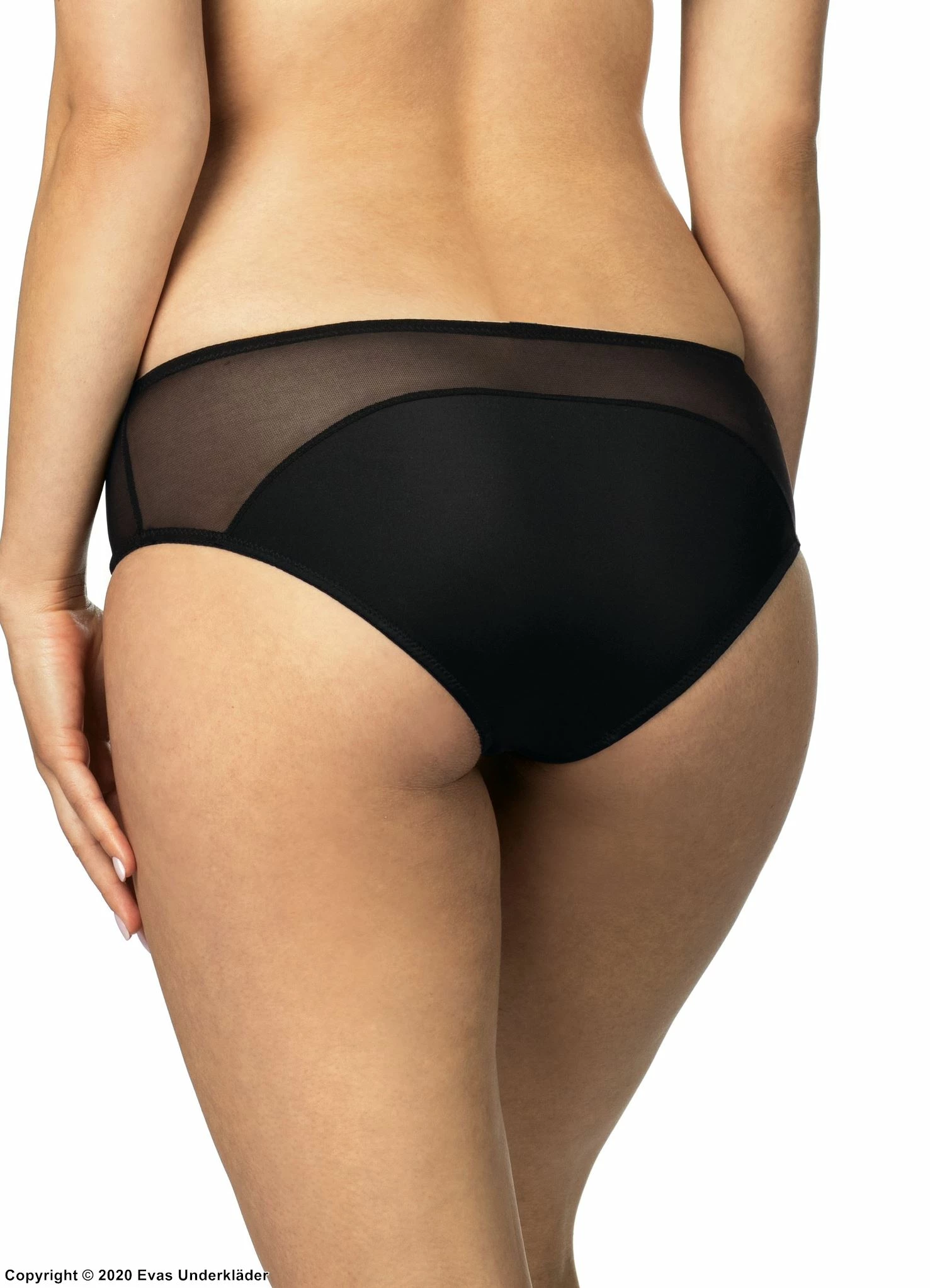 Classic Briefs, Sheer Mesh, Elegant Design, M To 4XL 2 Classic Briefs, Sheer Mesh, Elegant Design, M To 4XL - Image 2