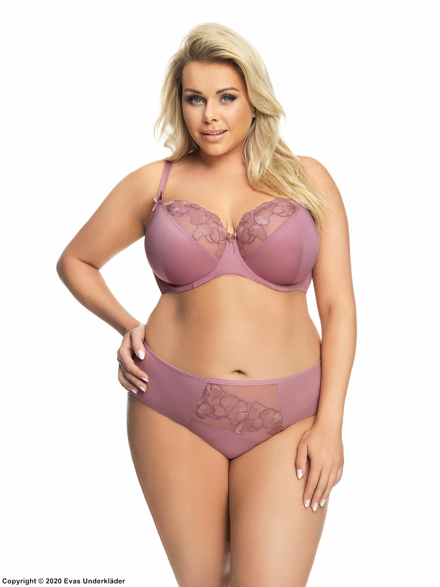 Beautiful Briefs, Microfiber, Embroidery, Mesh Inlay, Plain Back 2 Beautiful Briefs, Microfiber, Embroidery, Mesh Inlay, Plain Back - Image 2