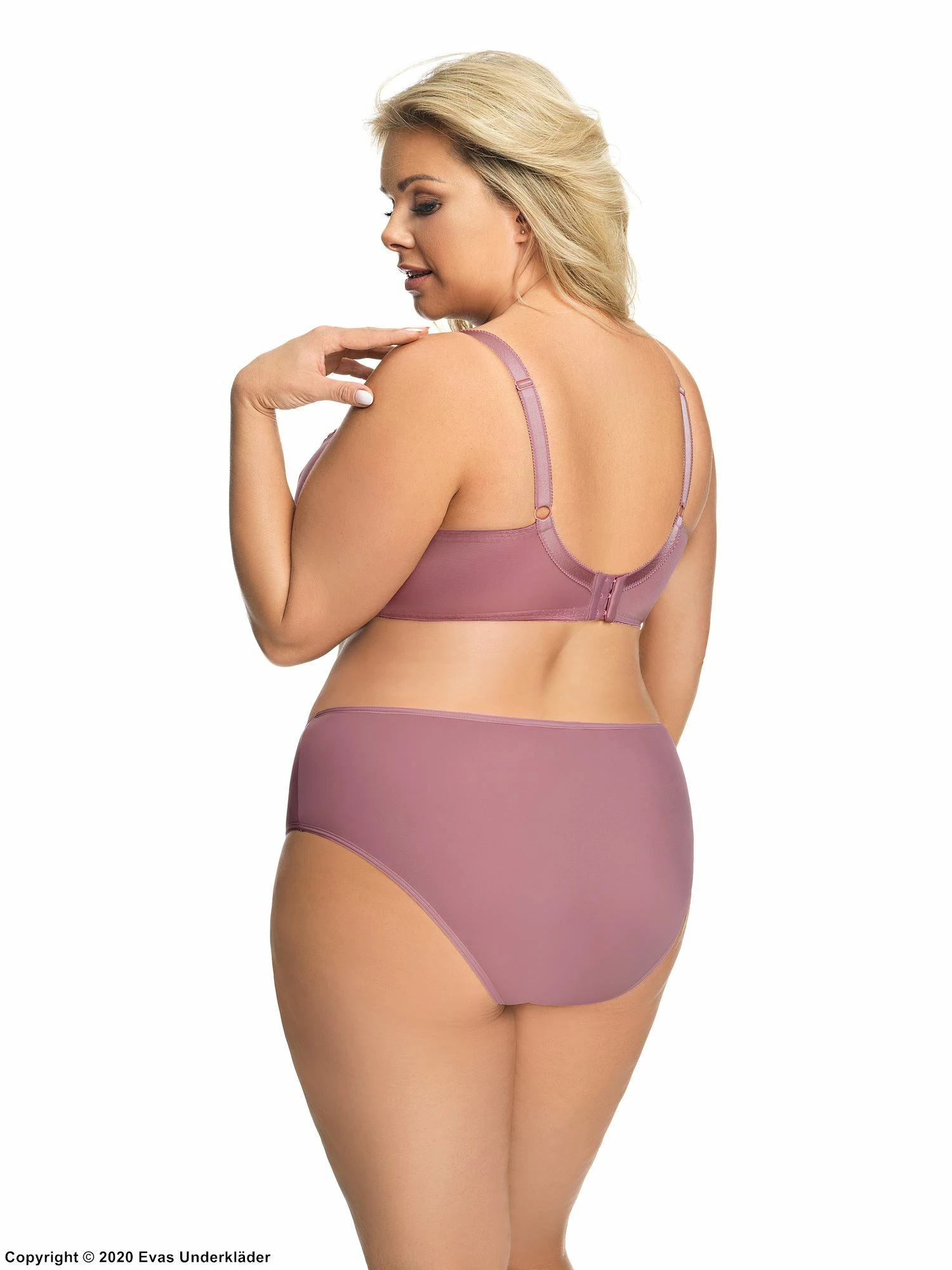 Beautiful Briefs, Microfiber, Embroidery, Mesh Inlay, Plain Back 3 Beautiful Briefs, Microfiber, Embroidery, Mesh Inlay, Plain Back - Image 3