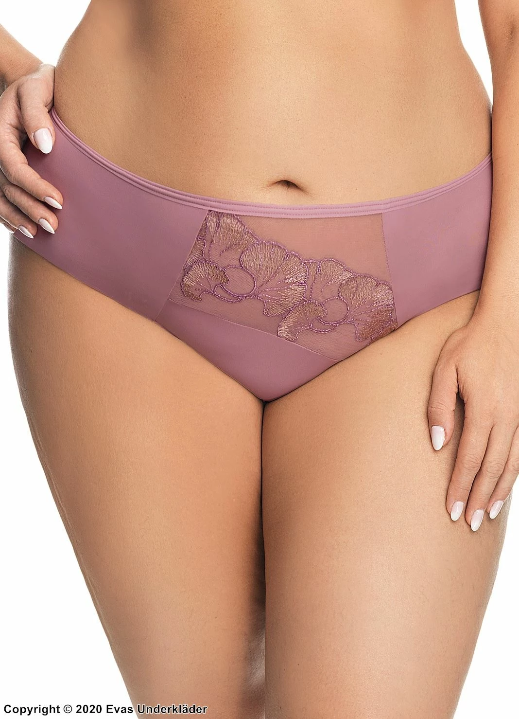 Beautiful Briefs, Microfiber, Embroidery, Mesh Inlay, Plain Back 1 Beautiful Briefs, Microfiber, Embroidery, Mesh Inlay, Plain Back