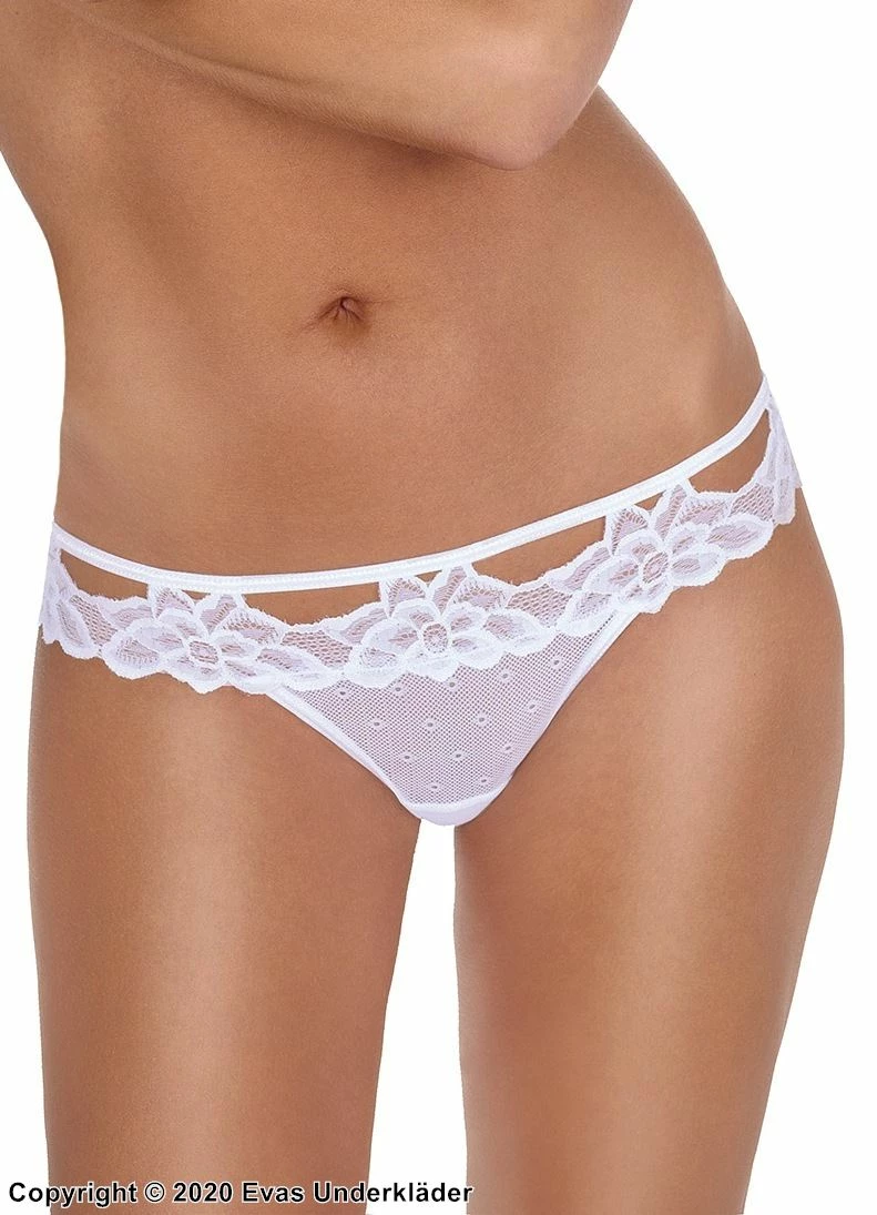 Romantic Panties, Sheer Mesh, Floral Lace 1 Romantic Panties, Sheer Mesh, Floral Lace