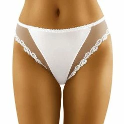 High Cut Briefs, Sheer Mesh, Embroidery