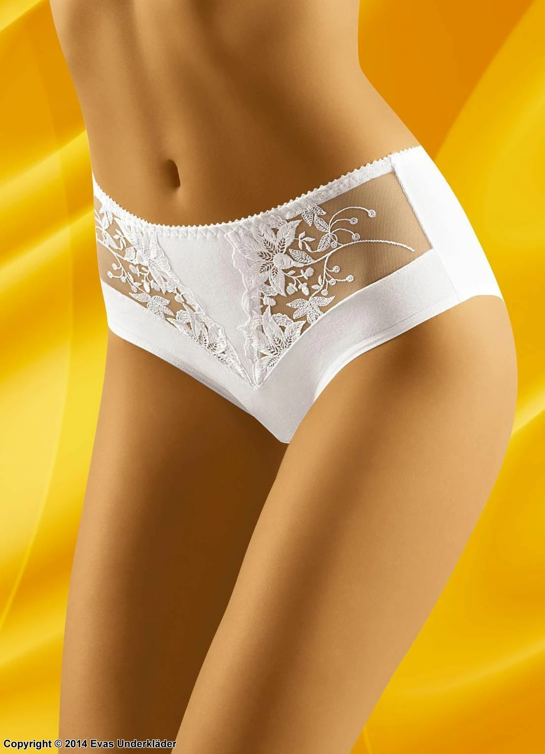 Briefs, Cotton, Embroidery, Sheer Inlays 1 Briefs, Cotton, Embroidery, Sheer Inlays