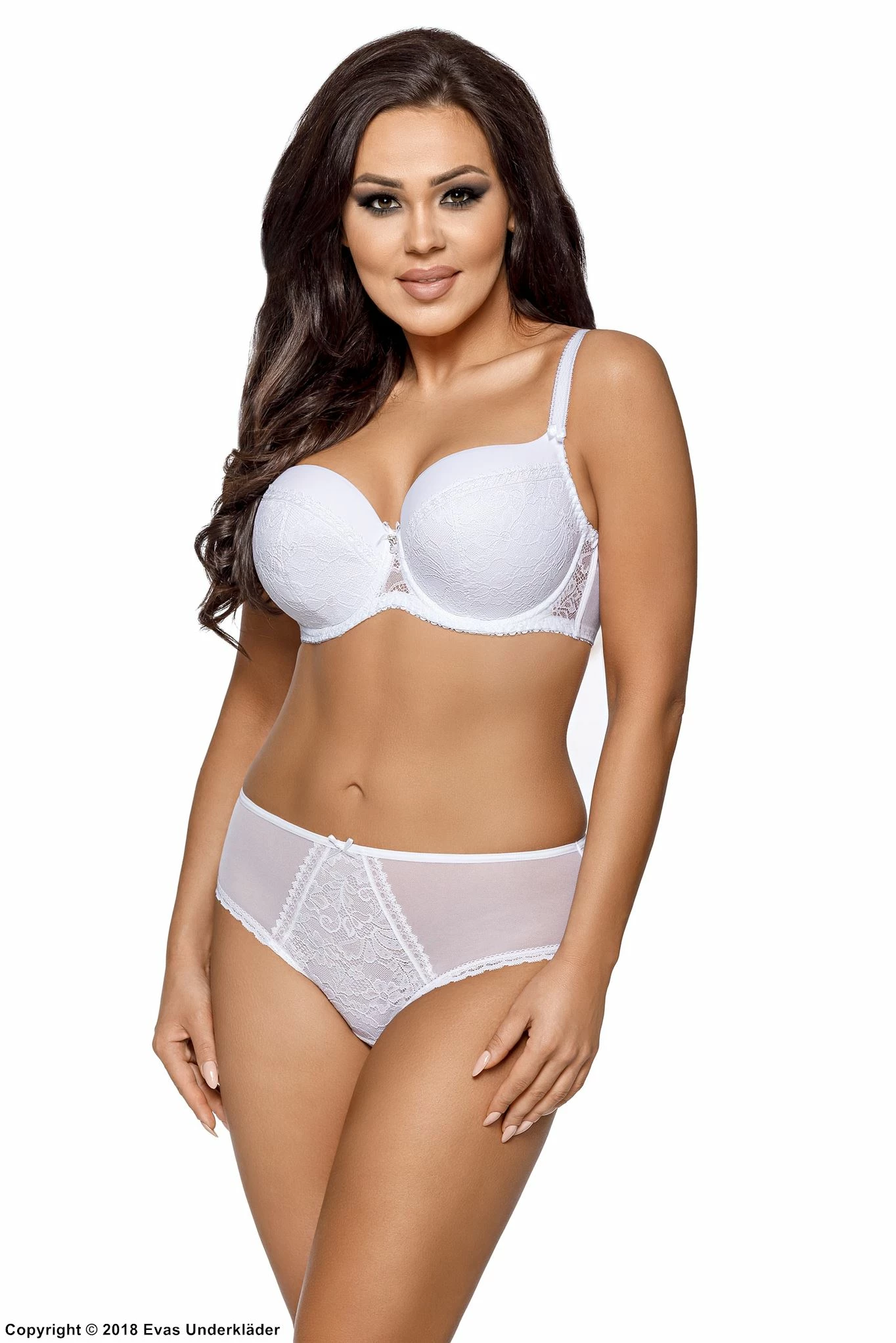 Classic Briefs, Sheer Mesh, Lace Panel 2 Classic Briefs, Sheer Mesh, Lace Panel - Image 2
