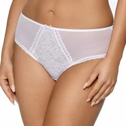 Classic Briefs, Sheer Mesh, Lace Panel