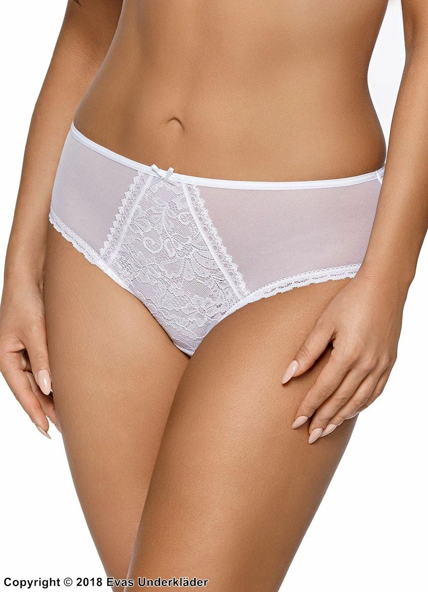 Classic Briefs, Sheer Mesh, Lace Panel 1 Classic Briefs, Sheer Mesh, Lace Panel